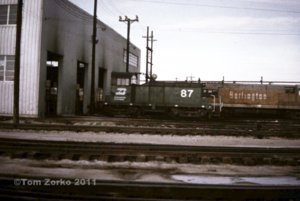 BN87_1973.jpg