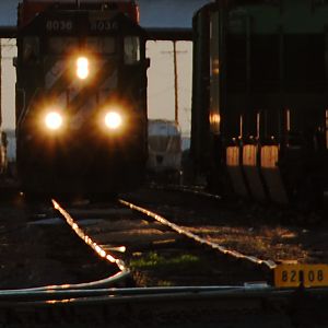 BNSF 8036 in the afternoon sun