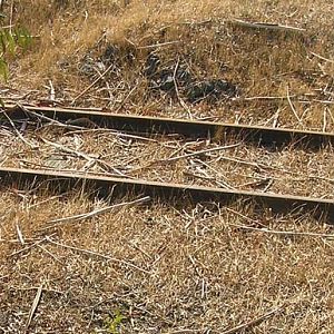 Last of the SP Crocker Industrial Rail Spur Track