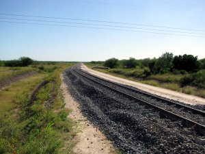 newline1.JPG