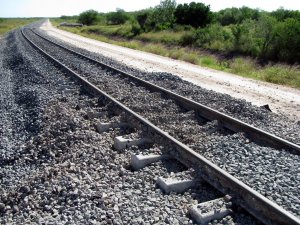 newline5.JPG