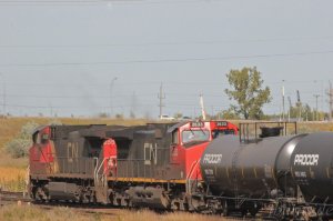 IMG_0126.jpg