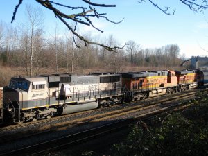 IMG_2724.jpg