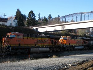 IMG_2732.jpg