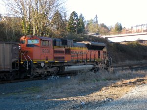 IMG_2738.jpg
