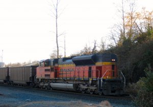 IMG_2739.jpg