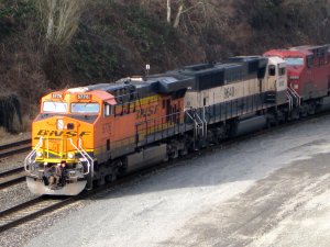 IMG_2743.jpg