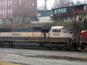 IMG_2748.jpg