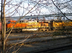 IMG_2750.jpg