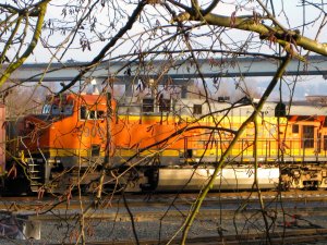 IMG_2751.jpg