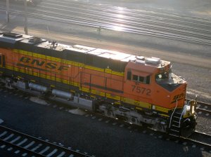 IMG_2754.jpg