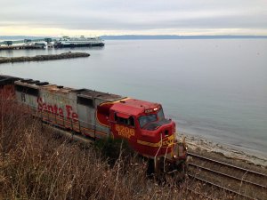 IMG_1126.jpg