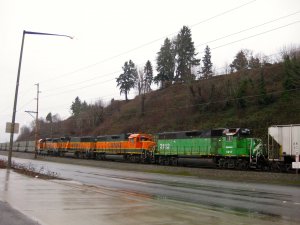 IMG_2699.jpg