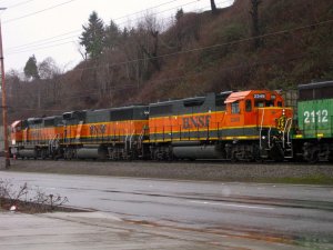 IMG_2700.jpg