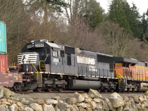 IMG_7541.jpg