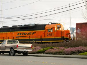 IMG_7602.jpg