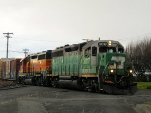 IMG_7599.jpg