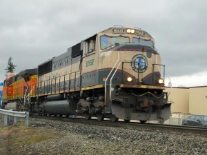 IMG_7610.jpg