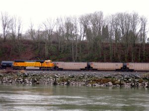 IMG_2769.jpg