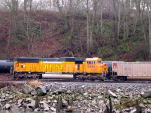 IMG_2768.jpg