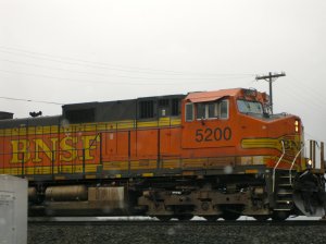 IMG_2770.jpg