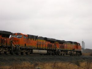 IMG_2771.jpg
