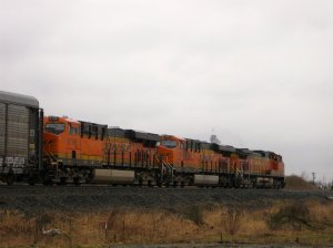 IMG_2772.jpg