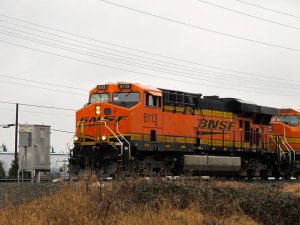 IMG_7614.jpg
