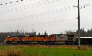 IMG_7616.jpg