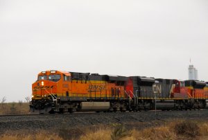 IMG_7620.jpg