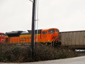 IMG_7624.jpg