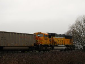 IMG_7629.jpg