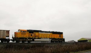 IMG_7630.jpg