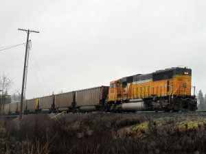IMG_7633.jpg
