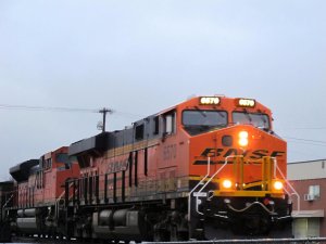 IMG_7645.jpg
