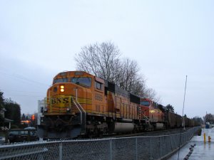 IMG_7647.jpg