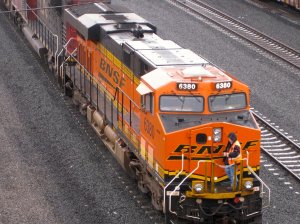 IMG_2766.jpg