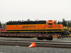 IMG_7662.jpg