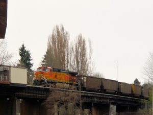 IMG_7670.jpg