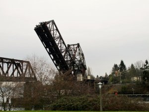 IMG_7672.jpg