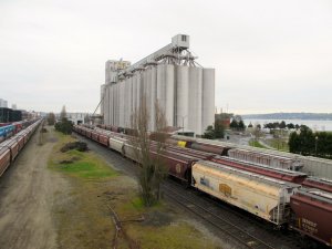 IMG_7673.jpg