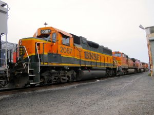 IMG_7675.jpg