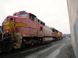 IMG_7680.jpg