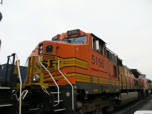 IMG_7681.jpg