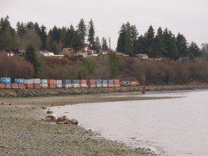 IMG_7696.jpg