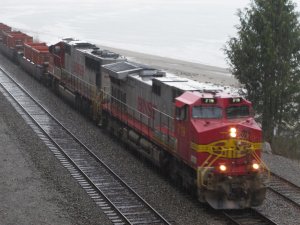 IMG_7698.jpg