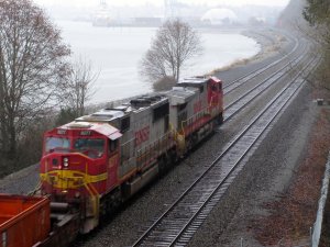 IMG_7700.jpg