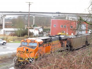 IMG_7705.jpg