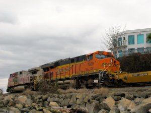 IMG_7715.jpg