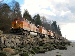 IMG_7725.jpg